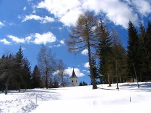 Orjaške lipe na Sv. Jerneju nad Muto